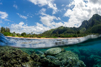 Over-Under Turtle Kauai