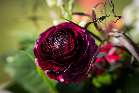 DSC_0391e