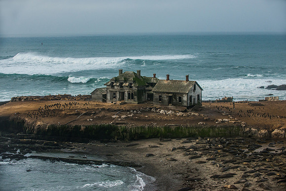 DSC_0667