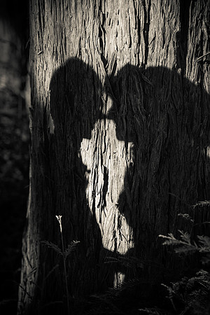 Jackson Hole Wedding Photo