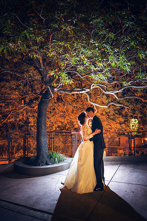 Jackson Hole Wedding Photography