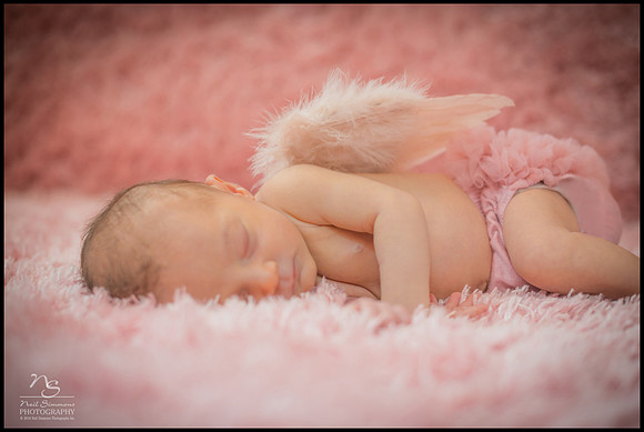 Jackson Hole Baby Photographer