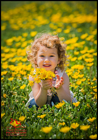 Jackson Hole Professional Photographer