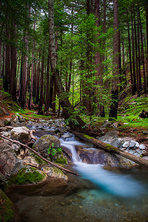 Hare Creek in Big Sur