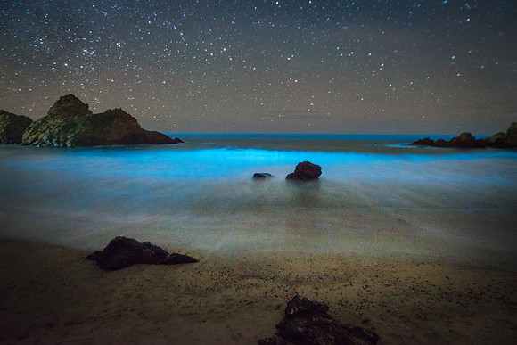 Bioluminescent plankton in Big Sur