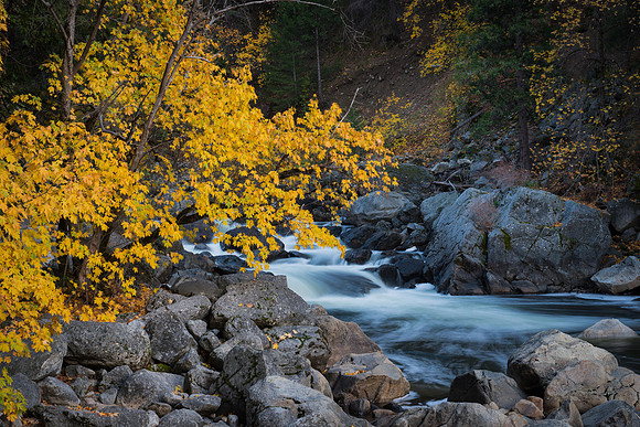 Fall Color Merced River Yosemite #1