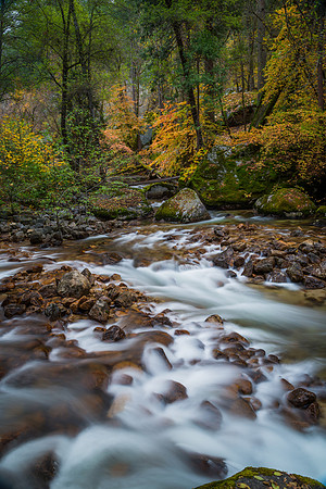Fall Color Tenaya Creek, Yosemite #2