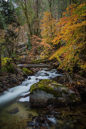 Fall Color Tenaya Creek, Yosemite