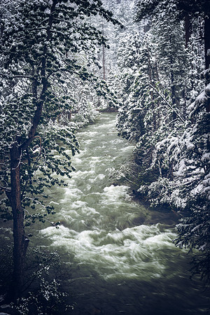 Snowfall on Deadman Creek, Sonora Pass
