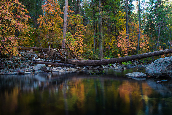 Fall Color Merced River Yosemite #2