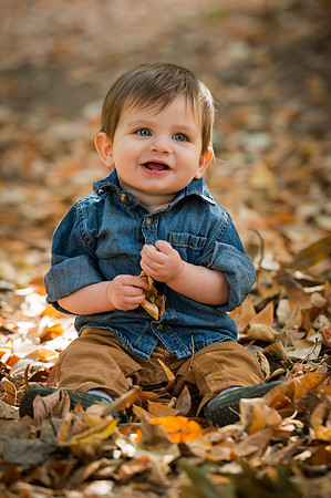 Jackson Hole Family Portraits
