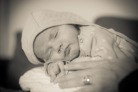 Jackson Hole Baby Portraits