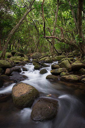 Manoa Stream long exposure, Kauai