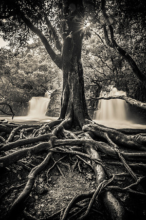 Twin Falls black and white, Haiku Maui