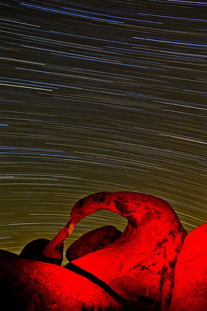 1 hour star trails, Mobius Arch