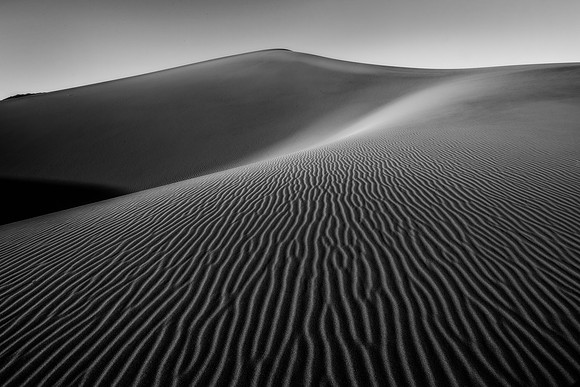 Mesquite Sand Dunes Black and White #3