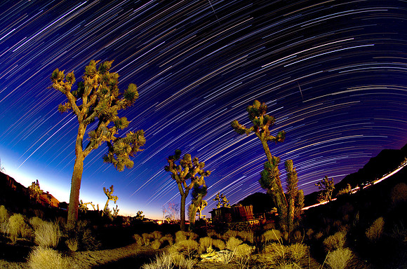 Joshua Tree Star trails