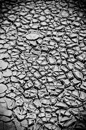 Mud cracks, Death Valley B+W