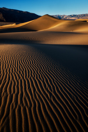 Sunrise Mesquite Sand Dunes, Death Valley #4