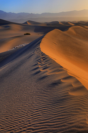 Mesquite Dunes Sunrise, Death Valley National park #2