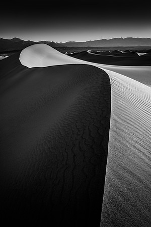 Mesquite Sand Dunes Black and White #2