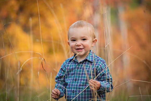 Jackson Hole Family Portraits