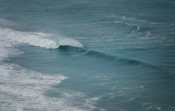 DSC_0547