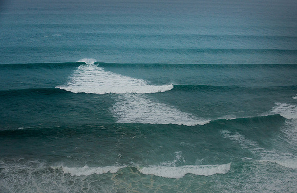 DSC_0568