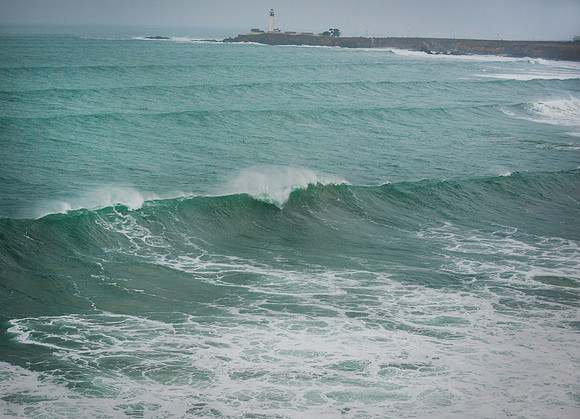 DSC_0426